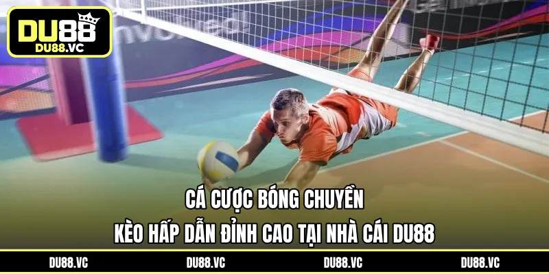 cá cược bóng chuyền