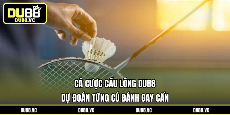 cá cược cầu lông
