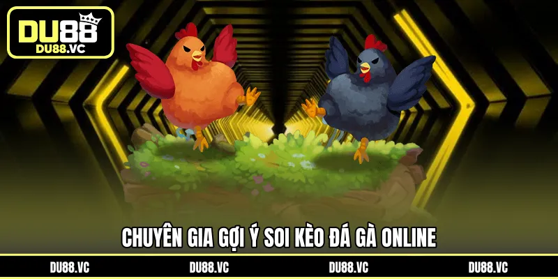 Chuyên gia gợi ý soi kèo đá gà online 